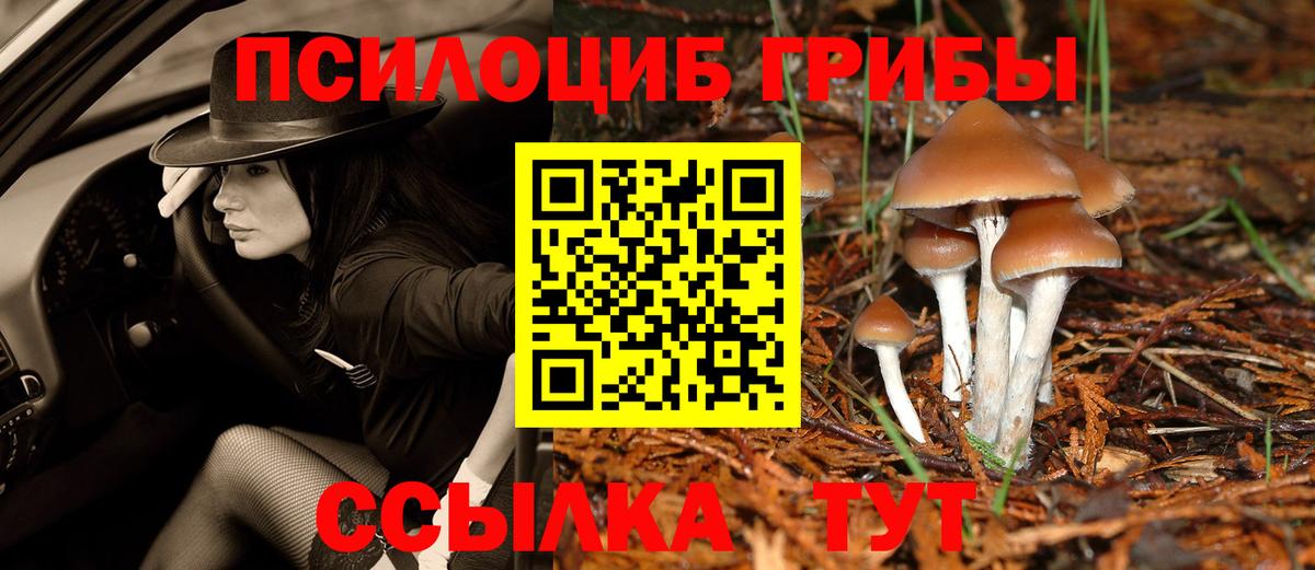Галлюциногенные грибы мухоморы  Псилоцибиновые грибы GOLDEN TEACHER  Вход с VPN  Одинцово 