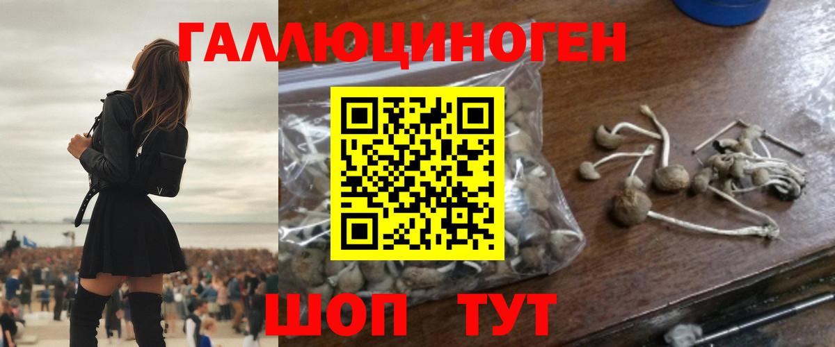 Галлюциногенные грибы MAGIC MUSHROOMS Одинцово